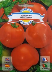 Pomidorai Money Maker, 2 vnt. kaina ir informacija | Daržovių, uogų sėklos | pigu.lt