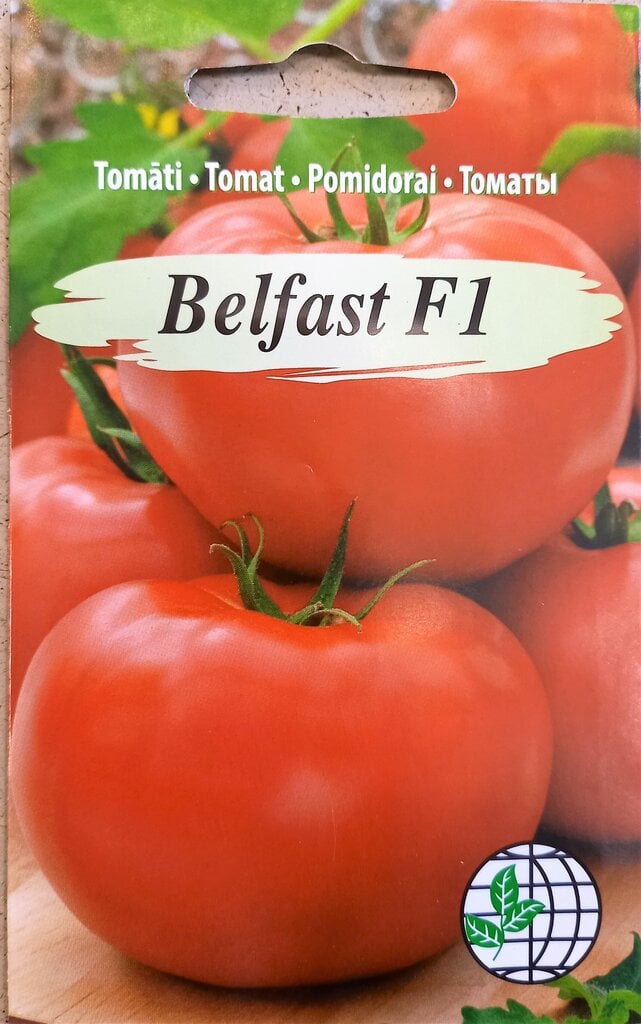 Pomidorai Belfast F1 kaina ir informacija | Daržovių, uogų sėklos | pigu.lt