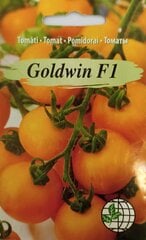 Pomidorai Goldwin F1 kaina ir informacija | Daržovių, uogų sėklos | pigu.lt