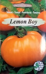 Pomidorai Lemon Boy, 2 vnt kaina ir informacija | Daržovių, uogų sėklos | pigu.lt