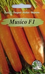 Морковь Musico F1, 2 шт. цена и информация | Семена овощей, ягод | pigu.lt