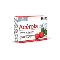 Maisto papildas Acerola Vit.C 500, 24 kramtomosios tabletės kaina ir informacija | Vitaminai, maisto papildai, preparatai imunitetui | pigu.lt