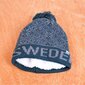 Vilnonė kepurė Sweden kaina ir informacija | Vyriški šalikai, kepurės, pirštinės | pigu.lt