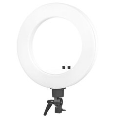 Makiažo lempa Ring Light 18 LED, balta kaina ir informacija | Fotografijos apšvietimo įranga | pigu.lt