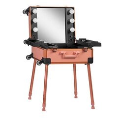 Profesionalus kosmetikos lagaminas T-27 Rose Gold kaina ir informacija | Kosmetinės, veidrodėliai | pigu.lt