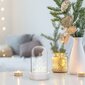 DecoKing Kalėdų LED dekoracijos, 5,5x9 kaina ir informacija | Kalėdinės dekoracijos | pigu.lt