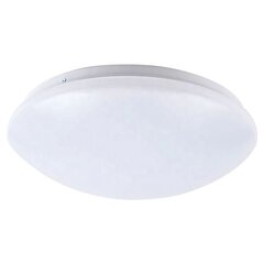 Lubinis LED šviestuvas Urania, 26 cm, White цена и информация | Потолочные светильники | pigu.lt