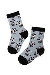 Детские хлопковые носки голубого цвета в зимней тематике с изображением пингвинов LOLO цена и информация | Носки, колготки для девочек | pigu.lt