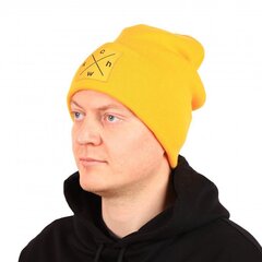 Мужская шапка Beanie CHWK цена и информация | Мужские шарфы, шапки, перчатки | pigu.lt