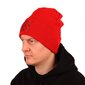Kepurė vyrams Beanie CHWK kaina ir informacija | Vyriški šalikai, kepurės, pirštinės | pigu.lt