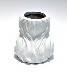 Galvos formos vaza, 20x19x15 cm kaina ir informacija | Vazos | pigu.lt