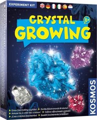 Mokomasis rinkinys Crystal Growing 8+ kaina ir informacija | Lavinamieji žaislai | pigu.lt