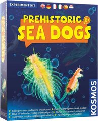 Развивающий набор Sea Dogs 8+ цена и информация | Развивающие игрушки | pigu.lt