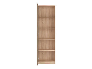 Шкаф BRW Nepo Plus 1D, коричневый/цвета дуба цена и информация | Шкафчики в гостиную | pigu.lt