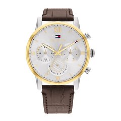 Vyriškas laikrodis Tommy Hilfiger TH1791884 kaina ir informacija | Vyriški laikrodžiai | pigu.lt