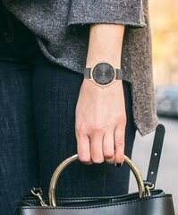 Moteriškas laikrodis Tommy Hilfiger TH1782430 kaina ir informacija | Moteriški laikrodžiai | pigu.lt