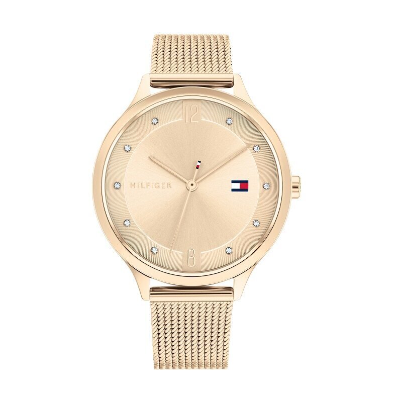 Moteriškas laikrodis Tommy Hilfiger TH1782431 kaina ir informacija | Moteriški laikrodžiai | pigu.lt