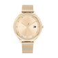 Moteriškas laikrodis Tommy Hilfiger TH1782431 kaina ir informacija | Moteriški laikrodžiai | pigu.lt