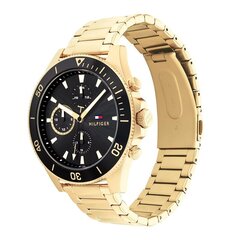 Vyriškas laikrodis Tommy Hilfiger TH1791919 kaina ir informacija | Vyriški laikrodžiai | pigu.lt