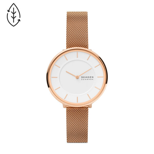 Moteriškas laikrodis Skagen SKW3013 цена и информация | Moteriški laikrodžiai | pigu.lt