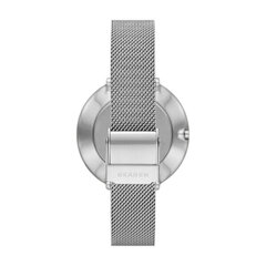 Moteriškas laikrodis Skagen SKW3016 kaina ir informacija | Moteriški laikrodžiai | pigu.lt