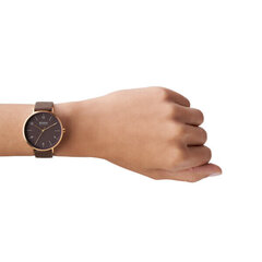 Женские часы Skagen AAREN NATURALS, Ø 36 мм цена и информация | Женские часы | pigu.lt