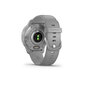 Garmin Venu® 2 Plus Silver/Powder Grey цена и информация | Išmanieji laikrodžiai (smartwatch) | pigu.lt
