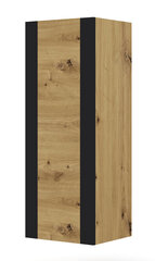Шкаф Mondi, коричневый/черный цена и информация | Шкафчики в гостиную | pigu.lt
