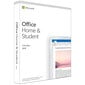 Microsoft Office Home and Student 2019 kaina ir informacija | Biuro programos | pigu.lt