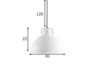 Globen Lighting потолочный светильник Mache 30 цена и информация | Потолочные светильники | pigu.lt