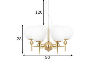 Globen Lighting lubinis šviestuvas Astrid 50 kaina ir informacija | Lubiniai šviestuvai | pigu.lt