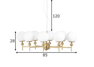 Globen Lighting lubinis šviestuvas Astrid 85 kaina ir informacija | Lubiniai šviestuvai | pigu.lt