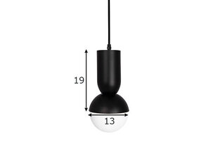 Потолочный светильник Globen Lighting Nero цена и информация | Потолочные светильники | pigu.lt
