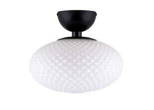 Globen Lighting потолочный светильник Jackson цена и информация | Потолочные светильники | pigu.lt