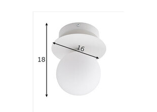 Globen Lighting светильник Art Deco цена и информация | Настенные светильники | pigu.lt