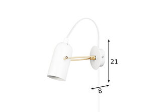 Globen Lighting sieninis šviestuvas Swan kaina ir informacija | Sieniniai šviestuvai | pigu.lt