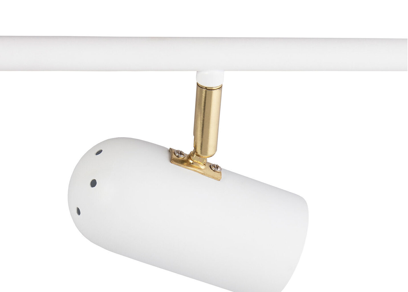 Globen Lighting lubinis šviestuvas Swan kaina ir informacija | Lubiniai šviestuvai | pigu.lt