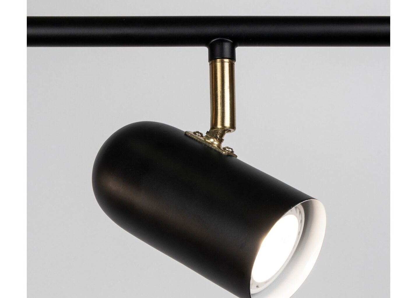 Globen Lighting lubinis šviestuvas Swan kaina ir informacija | Lubiniai šviestuvai | pigu.lt