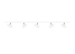 Потолочный светильник Globen Lighting Swan цена и информация | Потолочные светильники | pigu.lt