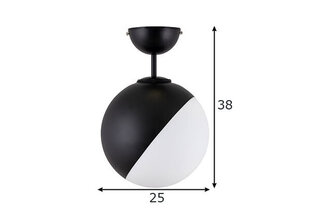 Globen Lighting светильник Contur цена и информация | Подвесной светильник | pigu.lt