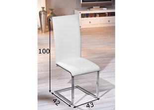 Valgomojo kėdė Montana, balta kaina ir informacija | Virtuvės ir valgomojo kėdės | pigu.lt