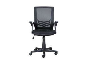Офисное кресло A2A Jilli, черный цвет цена и информация | Офисные кресла | pigu.lt