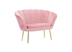 Sofa Glam, rožinė kaina ir informacija | Sofos | pigu.lt