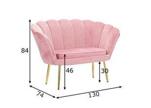 Sofa Glam, rožinė kaina ir informacija | Sofos | pigu.lt