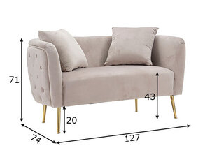 Sofa Glam, pilka kaina ir informacija | Sofos | pigu.lt