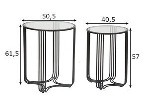 Набор из 2-х журнальных столиков Industrial 50, черный цена и информация | Журнальные столики | pigu.lt
