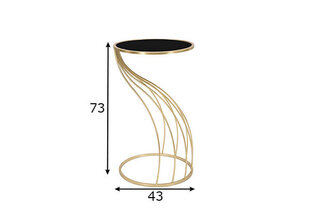 Šoninis staliukas Glam 73, juodas/auksinės spalvos kaina ir informacija | Kavos staliukai | pigu.lt