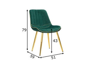 2-jų valgomojo kėdžių komplektas Glam, žalias kaina ir informacija | Virtuvės ir valgomojo kėdės | pigu.lt