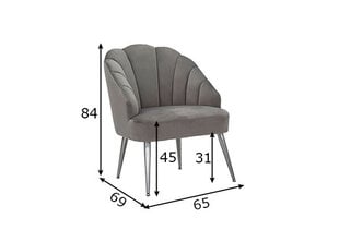Обеденный стул Glam, серый цена и информация | Стулья для кухни и столовой | pigu.lt