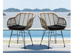 Набор из 2 садовых стульев Aia, коричневый/черный цвет цена и информация | Садовые стулья, кресла, пуфы | pigu.lt